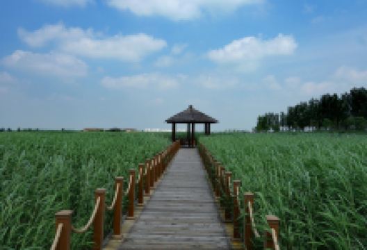 二克山公园景点图片