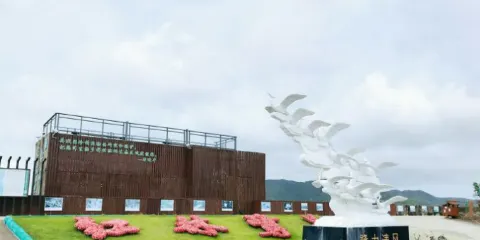 陽江紅樹林生態旅遊區