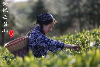 安化云台山风景区，一座令人神往的旅游胜地