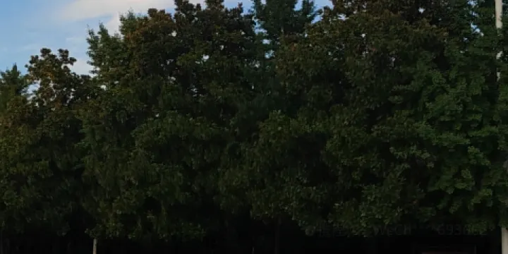 二十九處文化廣場