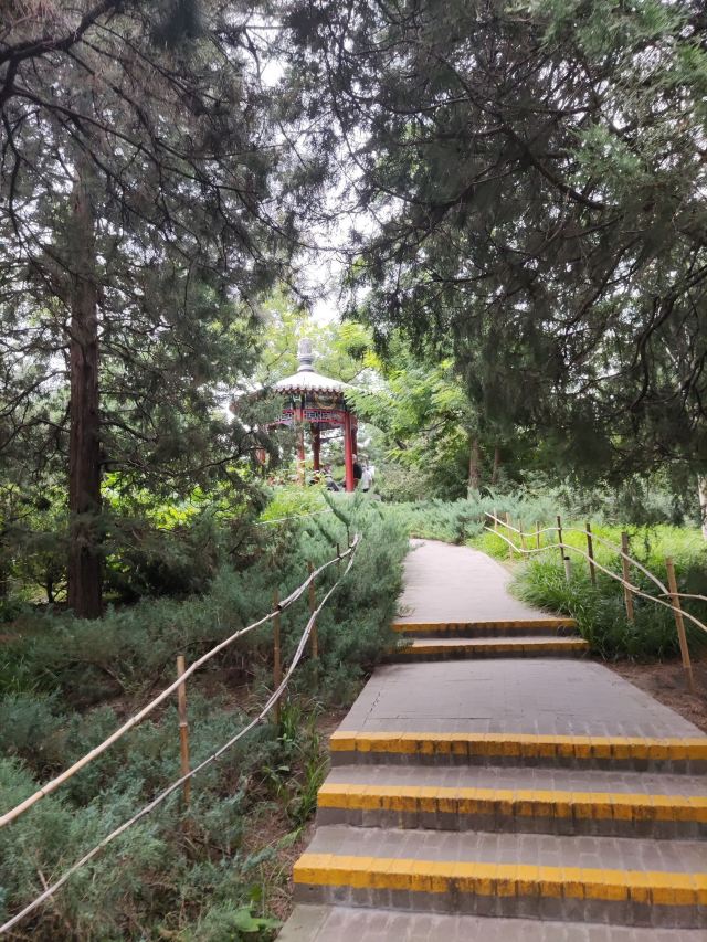 宣武艺园旅行图片 7