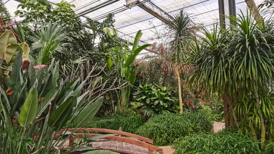 濮陽市植物園