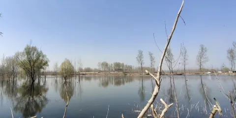 黃壁莊水庫濕地