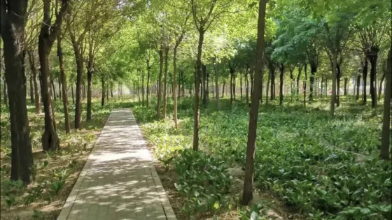 中國版圖教育公園