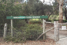 Nangawooka Flora Reserve景点图片
