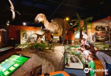Dinosaur Isle Museum景点图片
