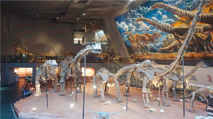 Gallery 2