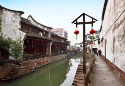芦花荡公园-园门旅行图片 3