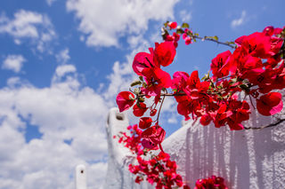 遇见大理，遇见爱情，我也想醒来的时候窗外就是花和大海