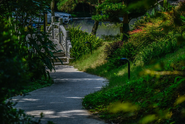 隐藏西湖深处的民宿：在秘境中入梦，太享受了吧？