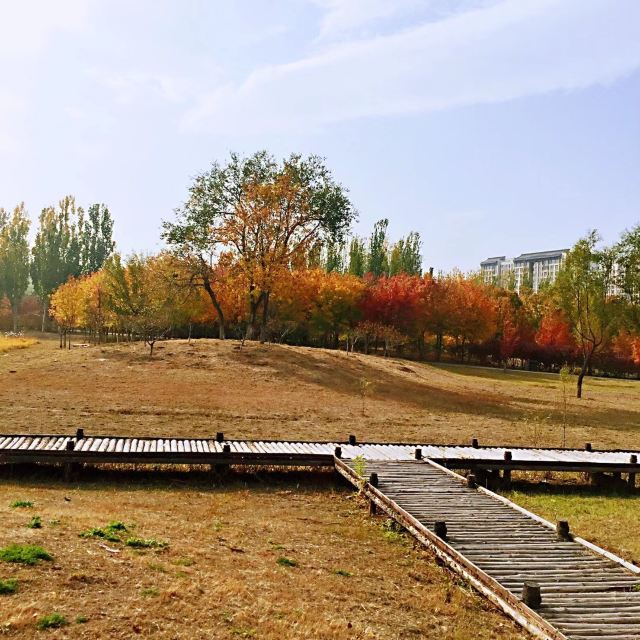 中关村公园旅行图片 7