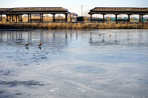 临泽游记图文-11月的自驾游｜纪念一场从张掖开始的旅行