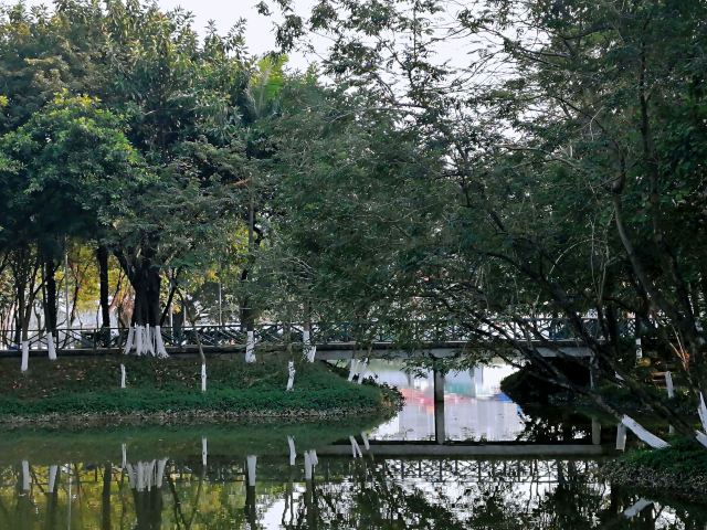 北滘公园旅行图片 2