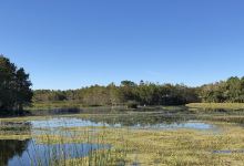 白浪绿洲湿地公园景点图片