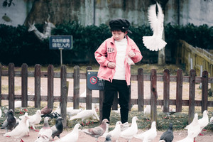 湘潭游记图文-三天两晚玩不够，湘潭这个大观园可以喂孔雀还有房车，太好玩