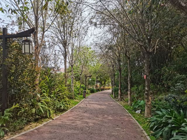 芝山公园旅行图片 5
