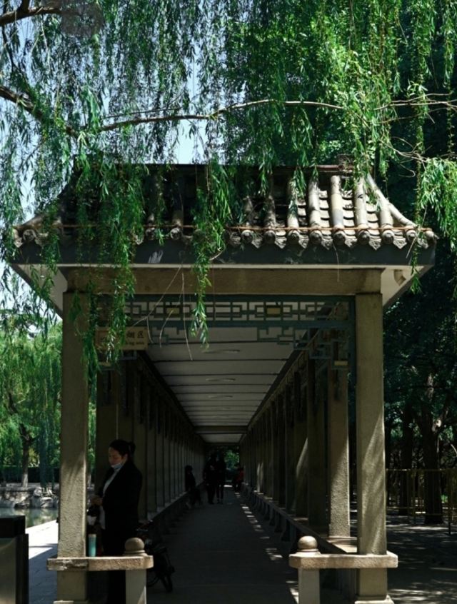 青城公园旅行图片 2
