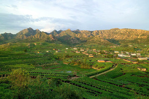 南戴河仙螺岛度假区游记图文-昌黎葡萄沟葡萄采摘园--昌黎葡萄沟小胖庄园