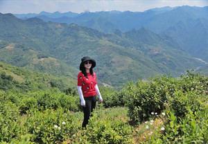 山阳游记图文-问问饿