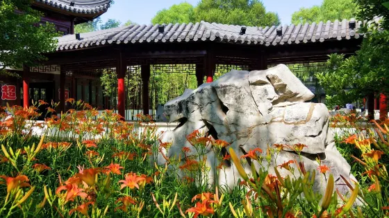 萬柳公園