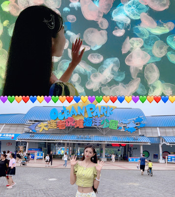 大连一日游，万里海洋|老虎滩海洋公园旅游攻略