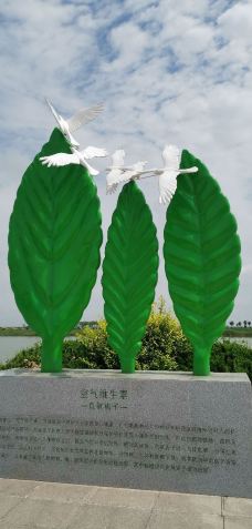 南大港湿地-黄骅-浙江年年游