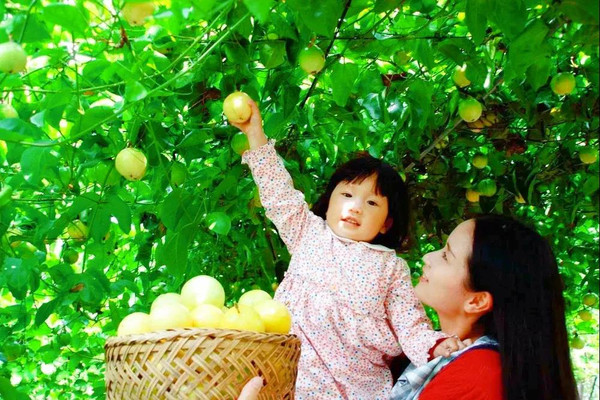 绿色生态,果中王者!听说全球只有1%的人吃过······