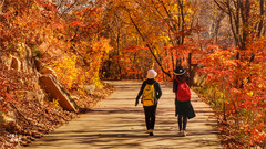 本溪游记图片] 又快到了去本溪赏枫的季节，枫林谷是我退休以后每年都要去的地方