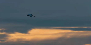 仙海风景区游记图文-双节省内游推荐：绵阳仙海：观落霞孤鹜，赏秋水长天