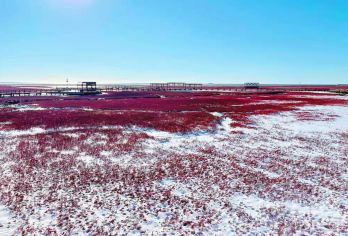 盘锦红海滩国家风景廊道定制深度纯玩一日游（8人内精品小团）【一价全含 纯玩无自费 无购物 包含景区内交通】