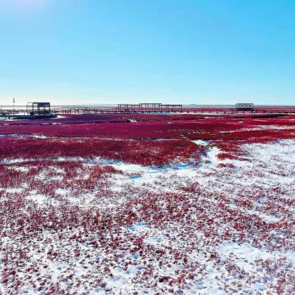 盘锦红海滩国家风景廊道定制深度纯玩一日游（8人内精品小团）