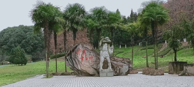 贵阳药用植物园旅行图片 3