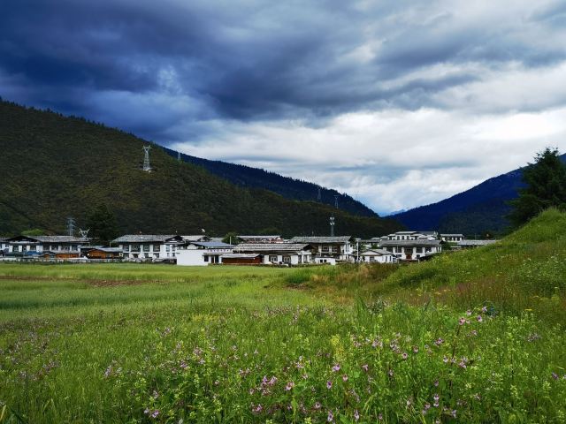 鲁朗林海风景区旅行图片 2