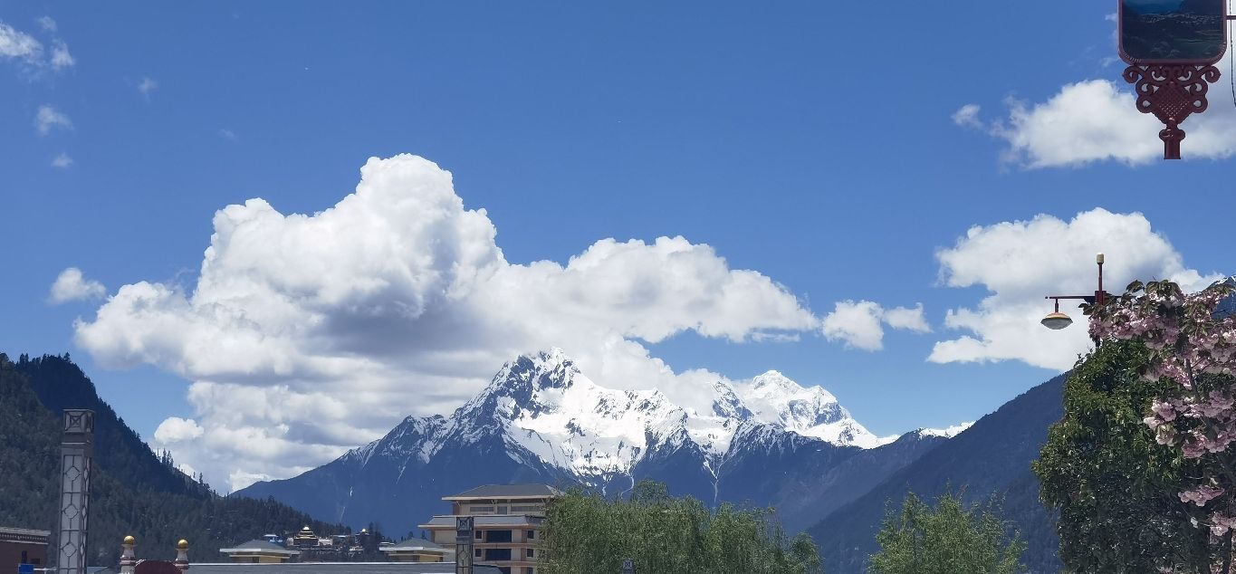 酸叔老坛酸菜鸡(波密分店)