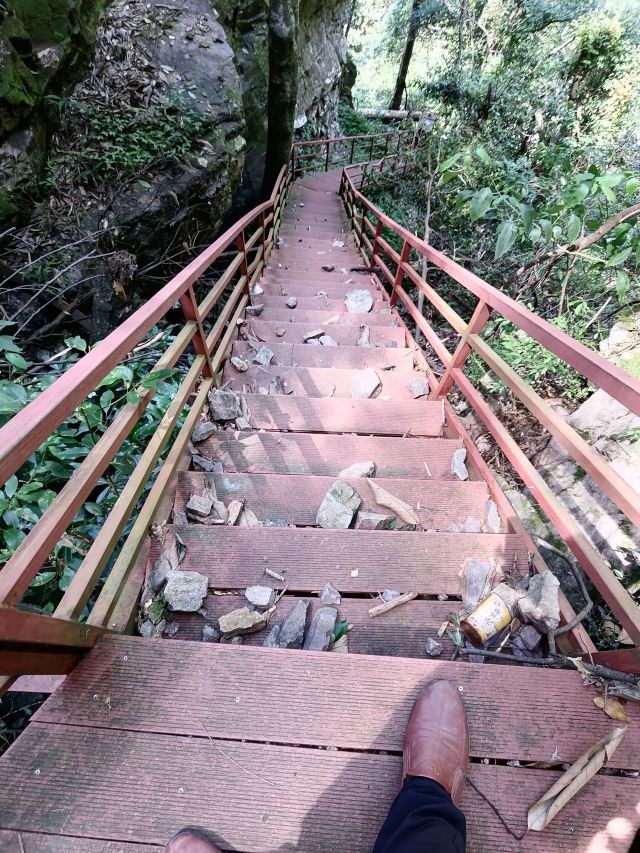 屏山悬索玻璃桥旅行图片 5