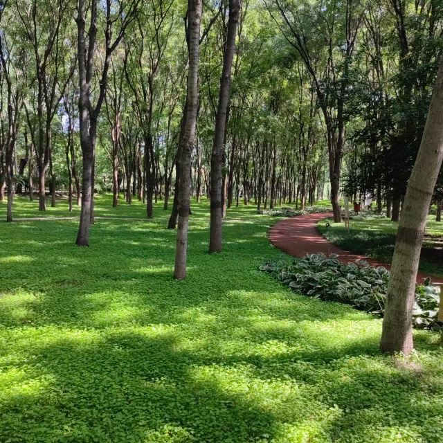 将府公园旅行图片 3