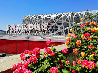 2019北京游  作者  黎明之光
