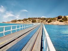 维克多港-维克多港-doris圈圈