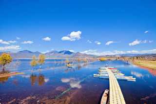 自驾游西双版纳八日游攻略