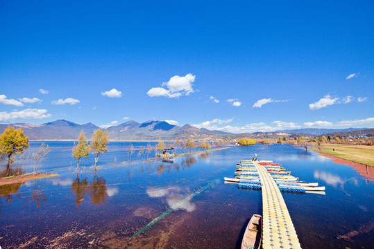 自驾游西双版纳八日游攻略