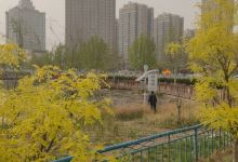 荷花池公园景点图片