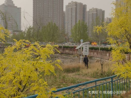 荷花池公园