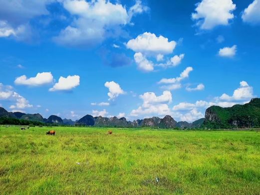 毛塘湿地公园