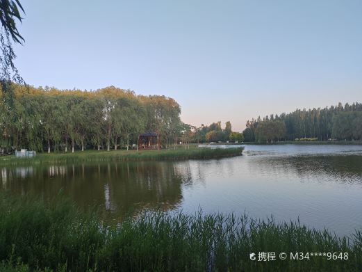 新世纪青年生态园
