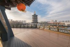 隋唐洛阳城国家遗址公园-洛阳