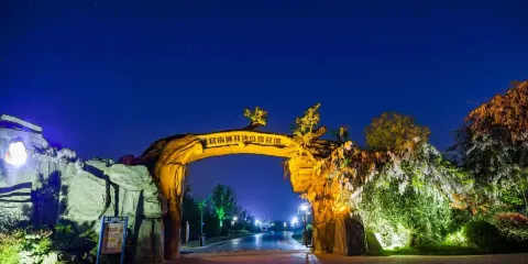 途居南通開沙島露營地