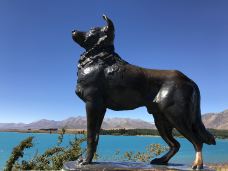 好牧羊人教堂-特卡波湖-gracewyin