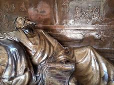 庄子祠-蒙城-大松树叶子