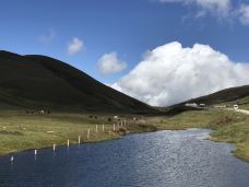 大海草山-会泽-小蘑菇wing仔