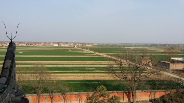 文峯木塔旅行图片 8